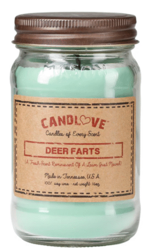 Scented Candles: Choosing the Right Fragrance for Every Mood