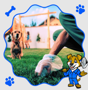 Professional Dog Poop Pickup Services in DFW: Keeping Your Yard Clean and Safe