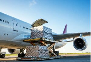 Shipping Support: A Complete Guide for Businesses and Individuals