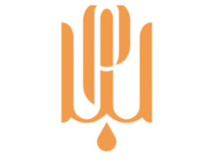 Why Is Body Contouring Perfect for Holistic Weight Management?