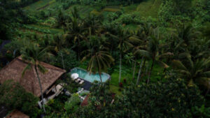 Why Ubud and Uluwatu are the Best Places to Rent Luxury Villas in Bali