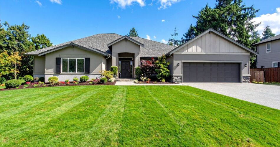 Professional Landscaping Solutions for South Auckland Homes and Businesses