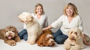 What Is the Best Age to Adopt an Australian Labradoodle in Austin?