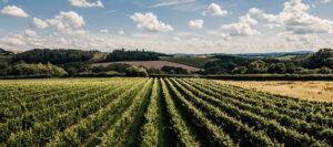 Discover the Finest Luxury Lodges in the UK and the Best Hotels in Herefordshire