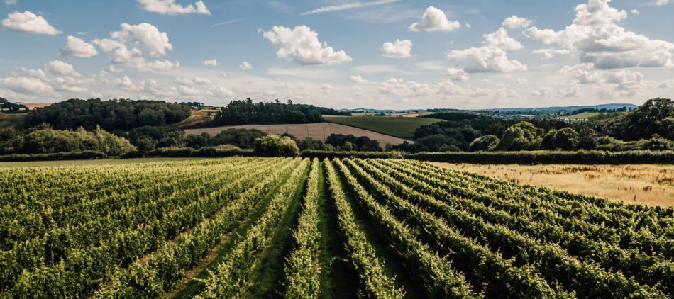 Discover the Finest Luxury Lodges in the UK and the Best Hotels in Herefordshire