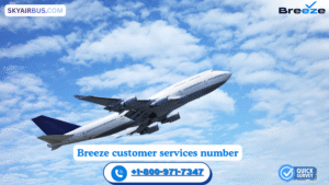 How Do I Speak To Someone At Breeze? Here It Is