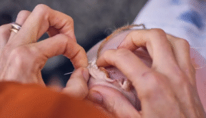 Can Doctor at Home Provide Wound Suturing?