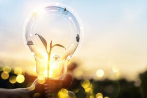 Energy Management Solutions for Modern Businesses