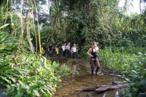 Experience the Wonders of Jungle Trip Peru with Manu Wildlife Peru