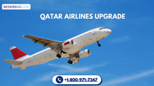 Looking for Qatar Airlines upgrade-Just Need Your Phone
