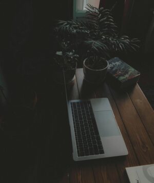 Shopify eCommerce Development Services to Build, Scale & Grow Your Online Store