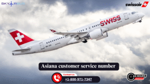 Swiss Air Upgrade - Turn Your Trip Into A Treat!