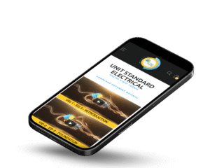 TDMI Expands Electrical Training Opportunities for South African Professionals