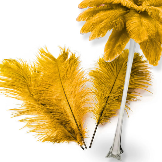BuyOstrichFeathers.com Offers Premium Feathers and Decorative Solutions for South African Events