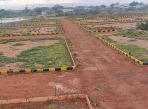 Plot For Sale In Madhya Pradesh: Secure Your Future with the Right