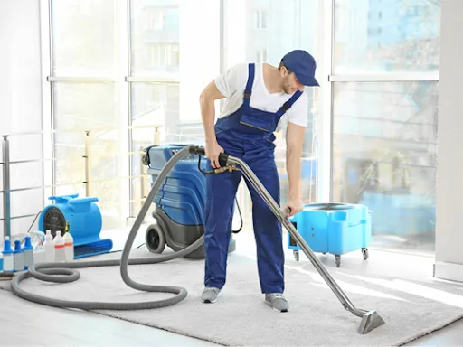 How Often Should You Get Carpet Cleaning Done?