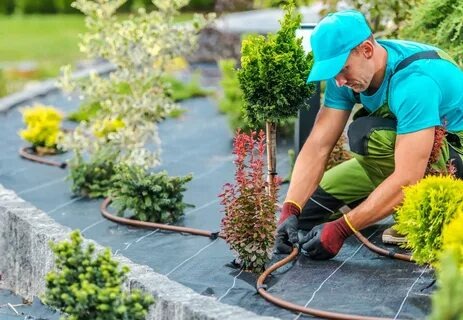 Revamp Your Garden with Professional Landscaping Contractors in Golders Green