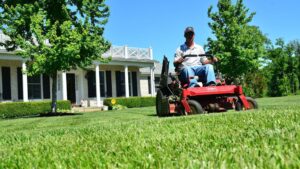Expert Lawn Service for Healthy Green Grass