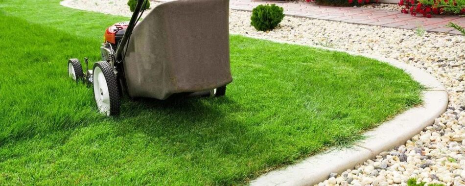Affordable Lawn Care Services for a Healthy Green Yard
