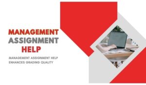Management Assignment Help Enhances Grading Quality