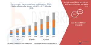North America Maintenance Repair and Operations (MRO) Market: Insights and Competitive Analysis