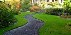 Creating Curb Appeal: Why Consistent Lawn Maintenance Matters and How Frontyard Fades Can Help