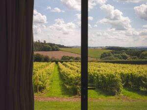 Escape to Tranquillity at Stars and Vines – The Ultimate Countryside Lodge Experience for Couples and Solo Travellers