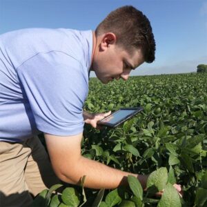 How Does Domestic Fuel Delivery Shape Energy Access Across the UK?