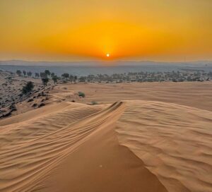 Best Desert Safari in Abu Dhabi