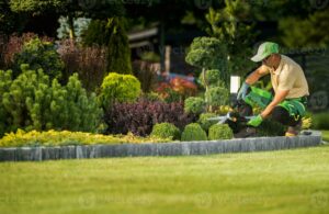 Transforming Outdoor Spaces: Expert Landscaping in Elmendorf by A&M General Contractors