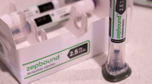 Zepbound’s Impact on Metabolism and Fat Storage