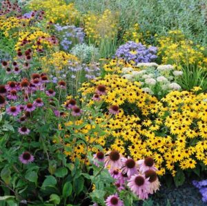 Buffalo Rumblinks, 4/26: Expenditures incorporate defensive abilities T. J. Sanders, Landon Jackson