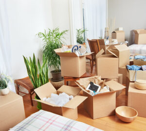 “Moving in Dubai on a Budget: Best Cheap Packers & Movers + Price Guide”