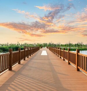 Latest Trends Landscape Contractors Are Using in 2025