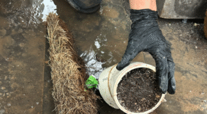 Melbourne’s Guide to Clearing Blocked Stormwater Drains