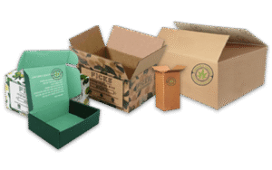 Bulk Hemp Boxes: The Ultimate Eco-Friendly Packaging Solution for Modern Brands