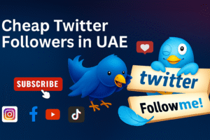 Cheap Twitter Followers in UAE: Problems You Should Know?