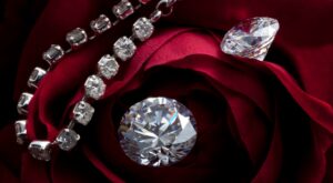 Lodgerica Certize Barnswell Unveils Trends in Engagement Rings