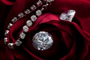 Lodgerica Certize Barnswell Unveils Trends in Engagement Rings