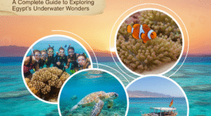 Snorkeling Excursions Red Sea