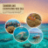 Snorkeling Excursions Red Sea