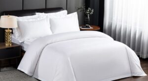 10 Best Bedding Sets for a Cozy Bedroom
