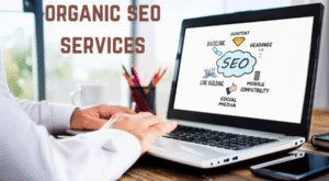 How to Choose the Best Organic Search Engine Optimization Services for Your Business