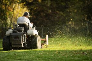 Best Lawn Mowing Services in Stone Mountain