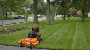 Lawn Renovation and Mulching Services