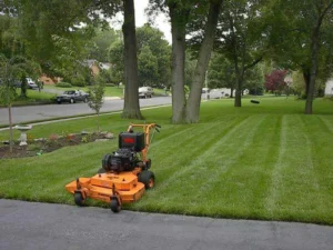 Expert Lawn Renovation and Mulching Services