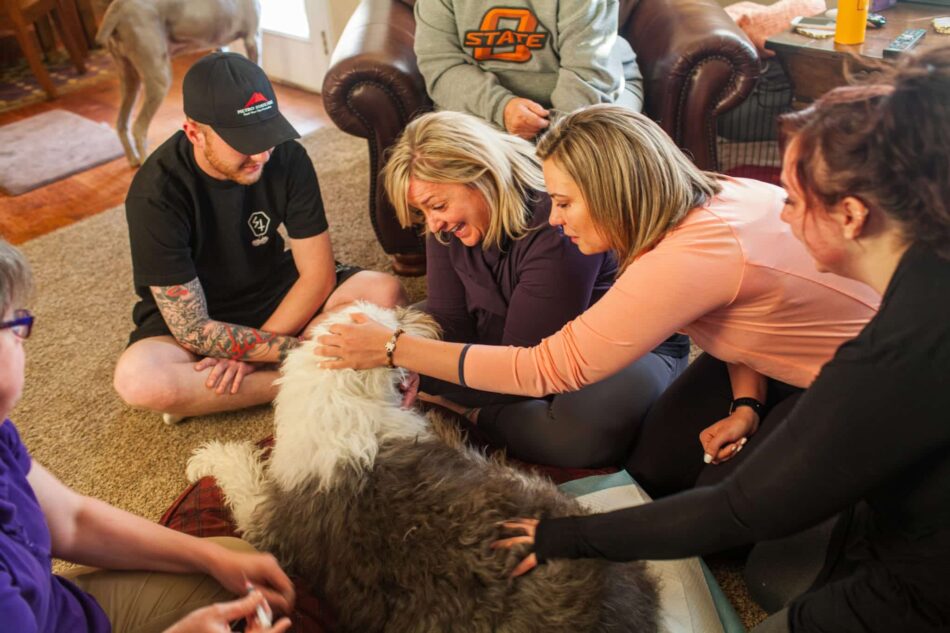 What Unique Home Setups Help Pets Feel Safe & Relaxed During Home Euthanasia