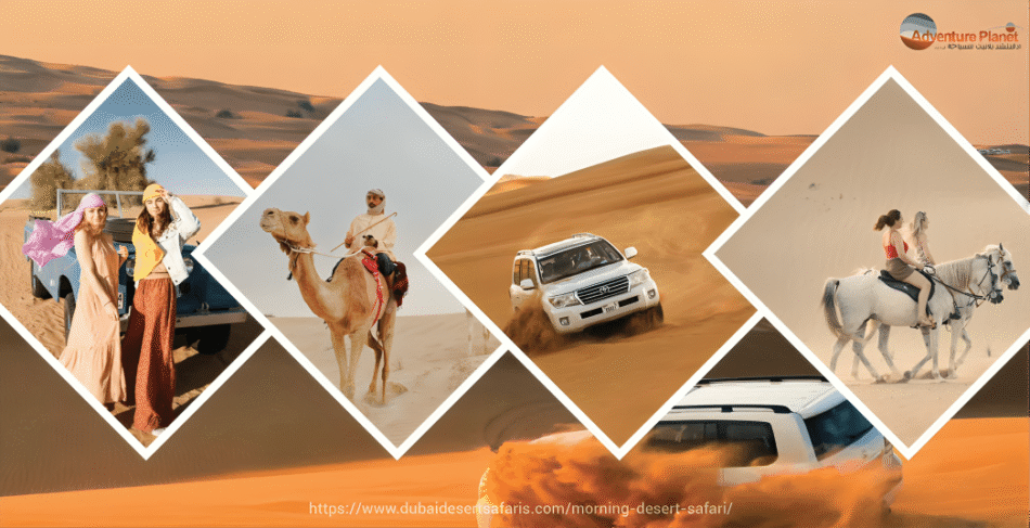 Thrilling Morning Dubai Desert Safari | Reserve Now