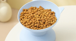 Premium Pet Supplies: Shop the Best for Your Pets