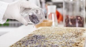 The Key to Pharmaceutical API Raw Material